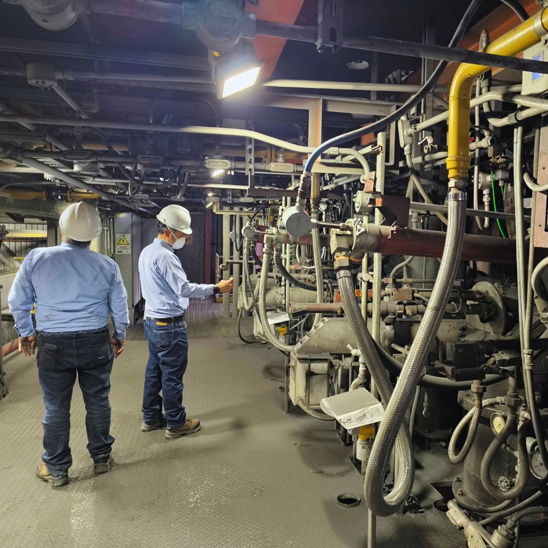 Hmh Diagnóstico para la gestión